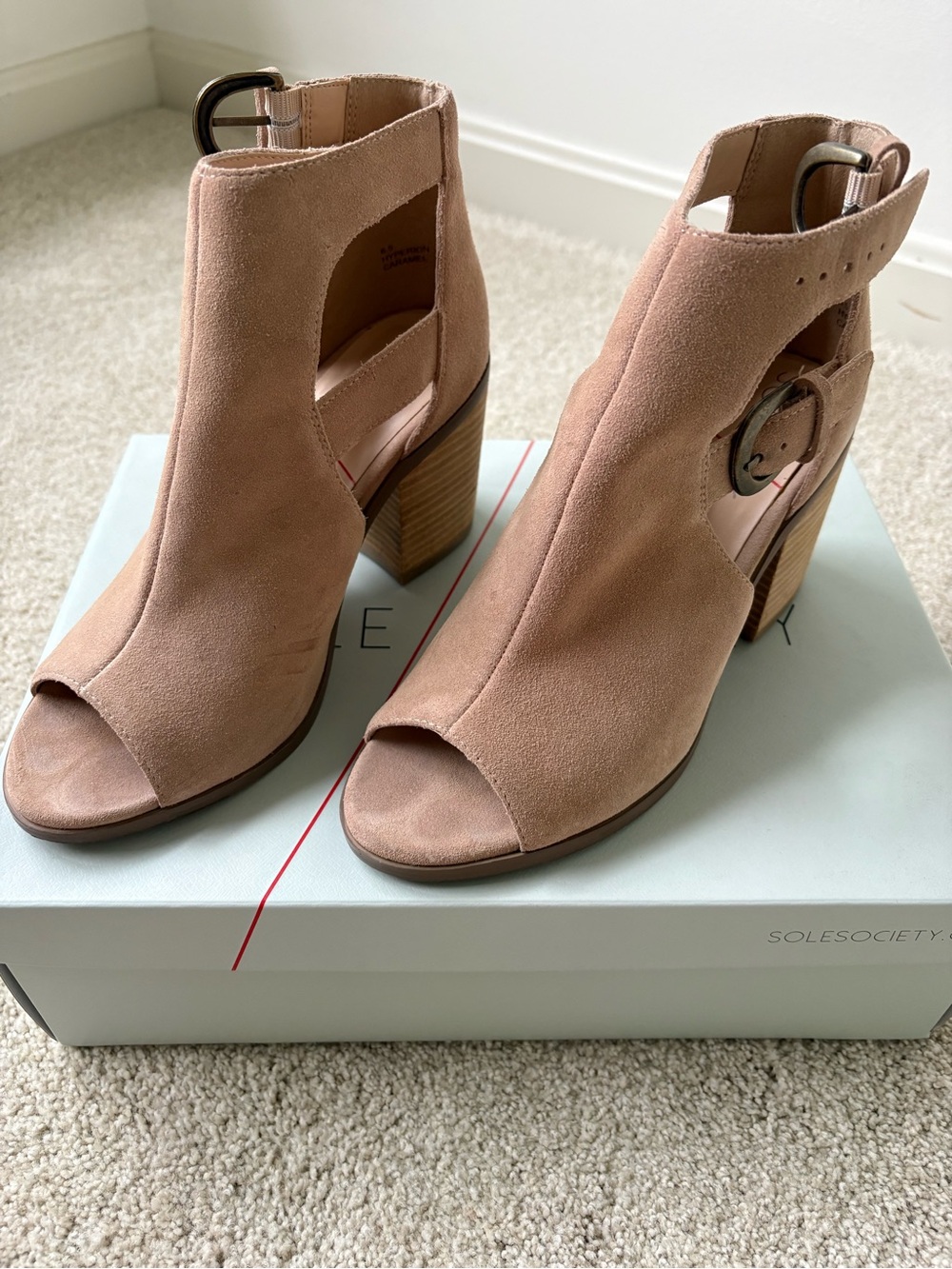 Sole Society Blush Pink Suede Peep-Toe Block Heel Booties